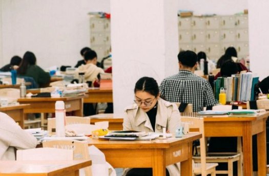 张雪峰考研人数