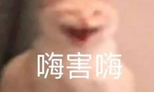 嗨嗨嗨是什么梗