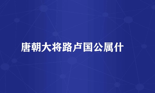 唐朝大将路卢国公属什ɺ