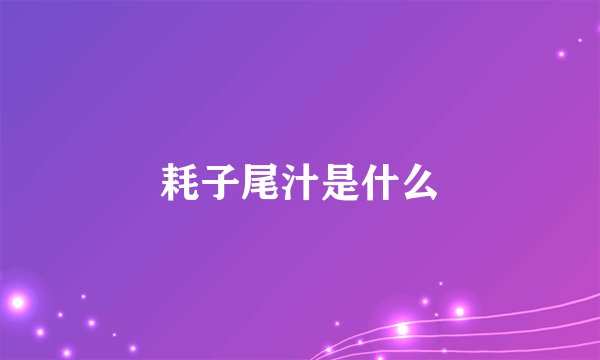耗子尾汁是什么