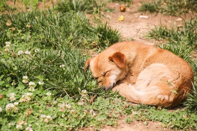 俗语“家中出现三喜，好事接踵而至”，是哪三喜？会有哪些好事？