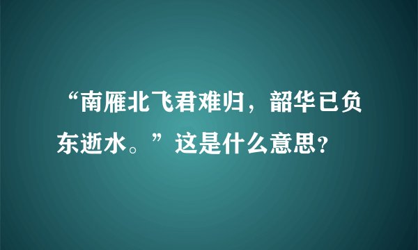 “南雁北飞君难归，韶华已负东逝水。”这是什么意思？