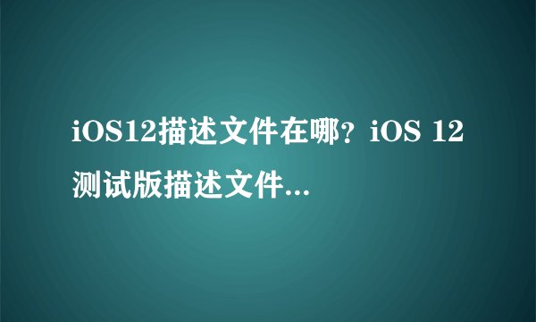 iOS12描述文件在哪？iOS 12测试版描述文件下载安装教程
