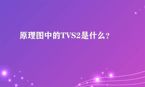 原理图中的TVS2是什么？