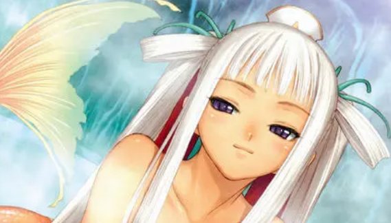 网友是什么意思啊？