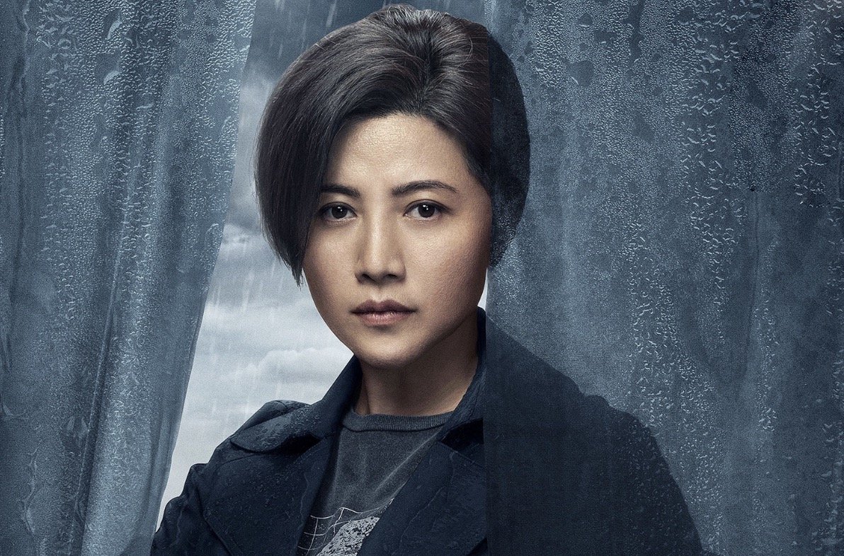 颜丙燕演过的所有电视剧