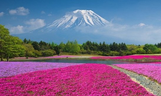 把爱埋在心底的句子