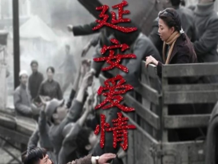 殷桃主演过的电视剧