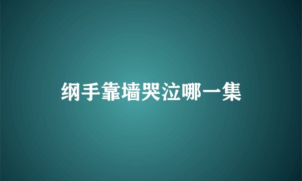 纲手靠墙哭泣哪一集