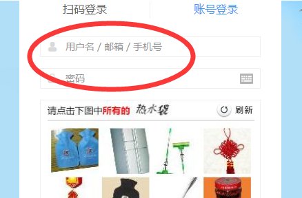 12306网站如何登录？