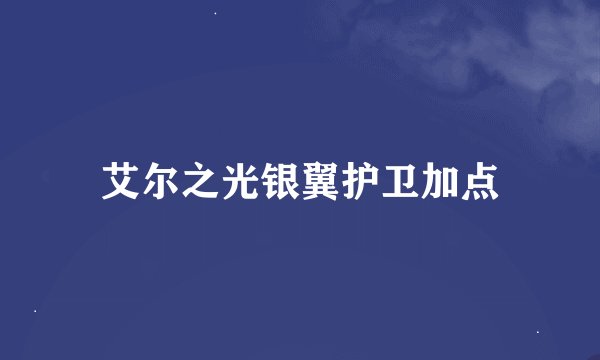 艾尔之光银翼护卫加点