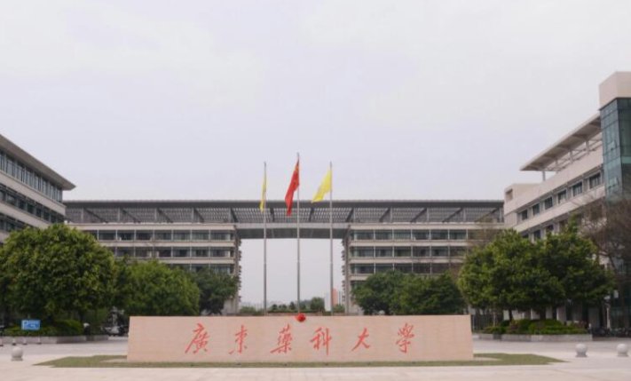 顺德有什么大学