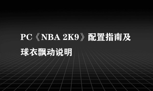PC《NBA 2K9》配置指南及球衣飘动说明