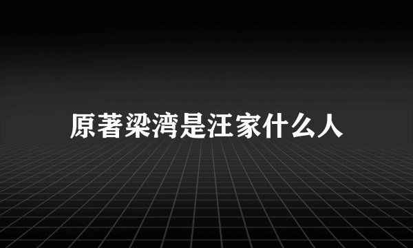 原著梁湾是汪家什么人