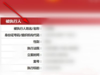 输入身份证号查询案底