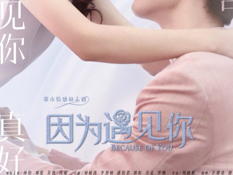 孙怡演过的电视剧有哪些