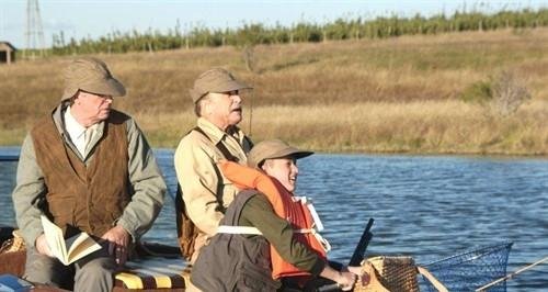 二手雄狮的影片评价