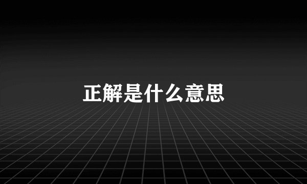 正解是什么意思