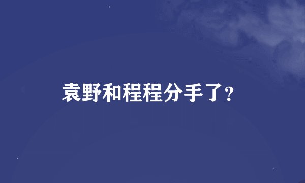 袁野和程程分手了？
