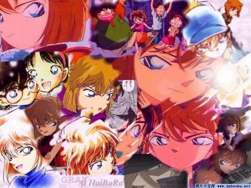 柯南之白枫的内容简介