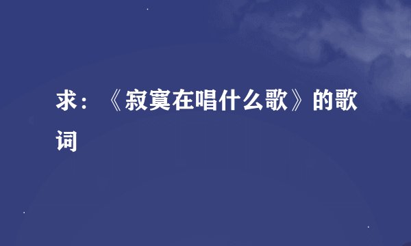 求：《寂寞在唱什么歌》的歌词