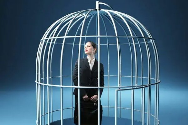 温柔禁锢讲的是什么