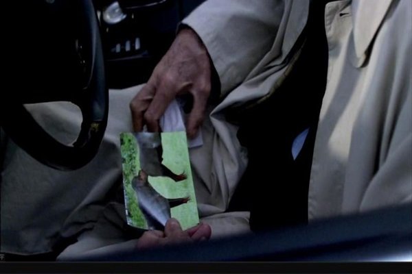 人体蜈蚣有几部?