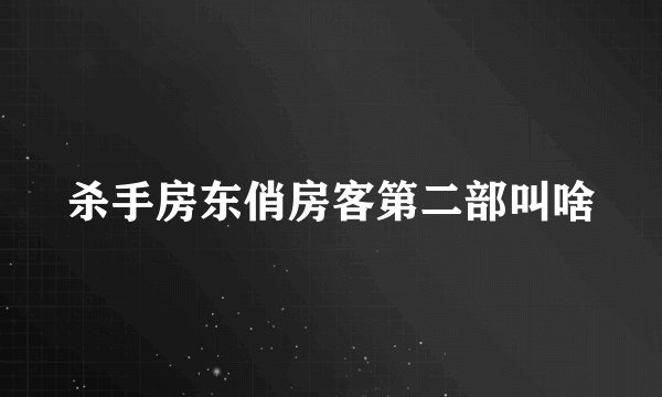 杀手房东俏房客第二部叫啥