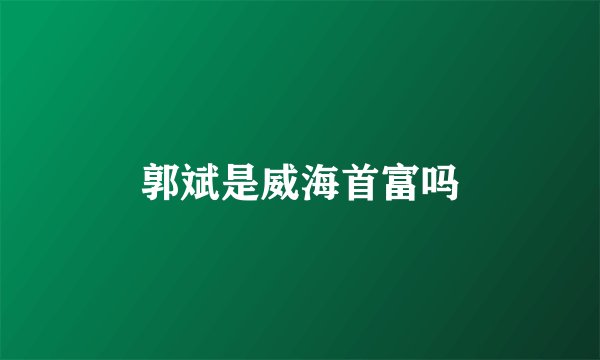 郭斌是威海首富吗