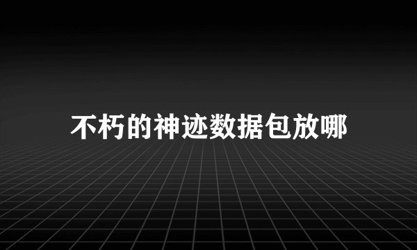 不朽的神迹数据包放哪