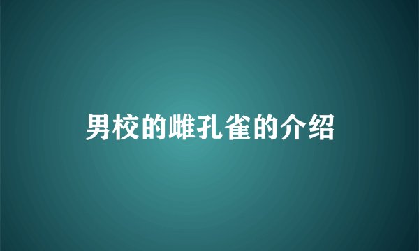 男校的雌孔雀的介绍