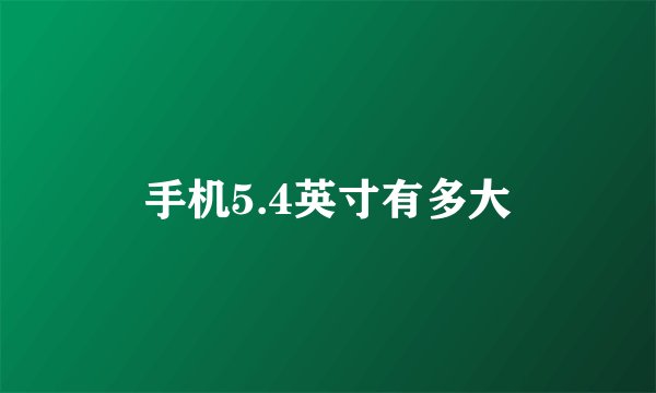 手机5.4英寸有多大