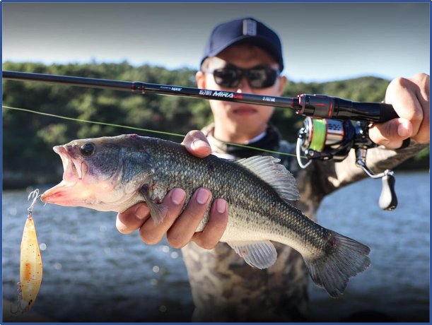 国产路亚竿品牌排行榜前十位