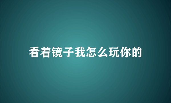 看着镜子我怎么玩你的