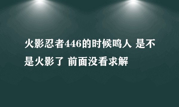 火影忍者446的时候鸣人 是不是火影了 前面没看求解