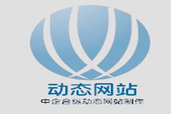 动态网是什么