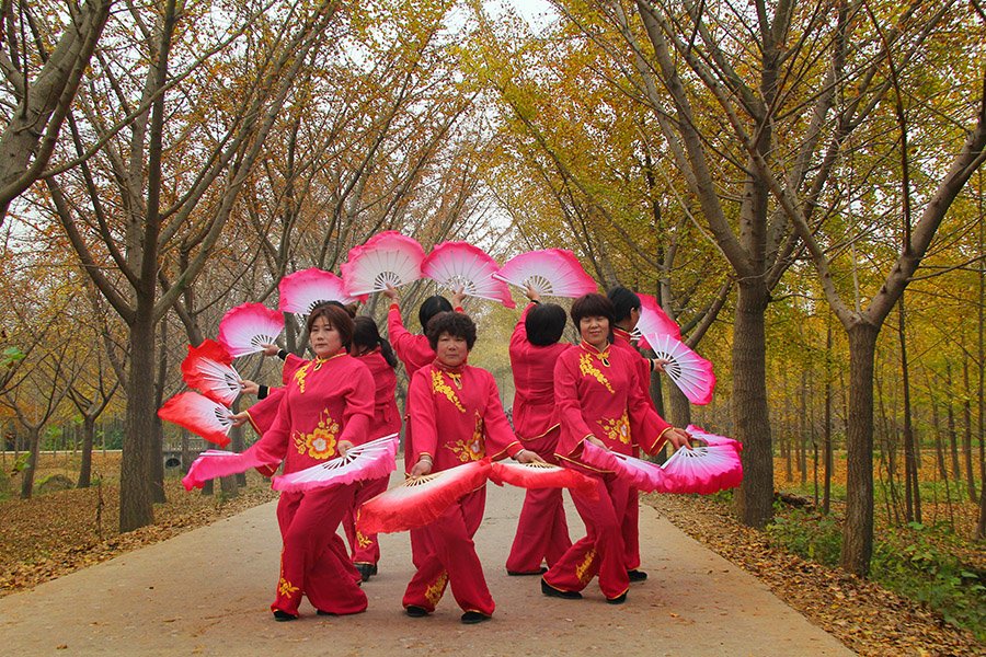 芳意浓的内容简介