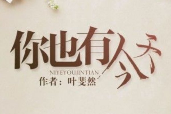 男主角是律师的全部小说