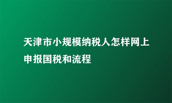 天津市小规模纳税人怎样网上申报国税和流程