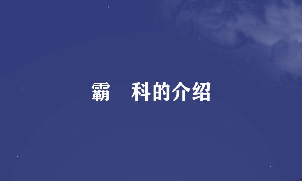 霸鹟科的介绍