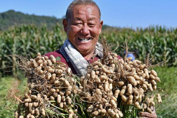 花生会让我们想到生活中那些默默无闻做贡献的人看到下面的词语你会想到哪些人