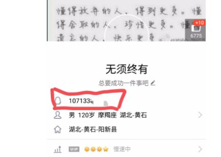 小米手机qq怎么查看密码