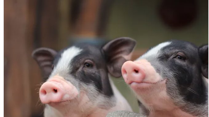 丁亥年是哪一年