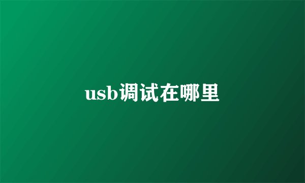 usb调试在哪里