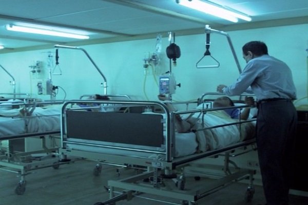 人体蜈蚣有几部?