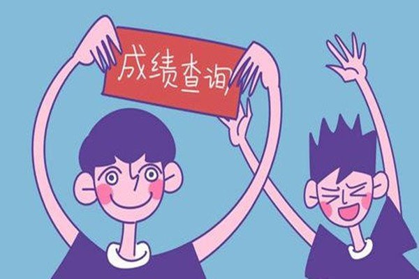 初中查分数的网站