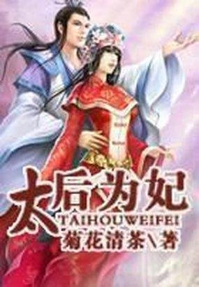 新妃十八岁的小说基本信息