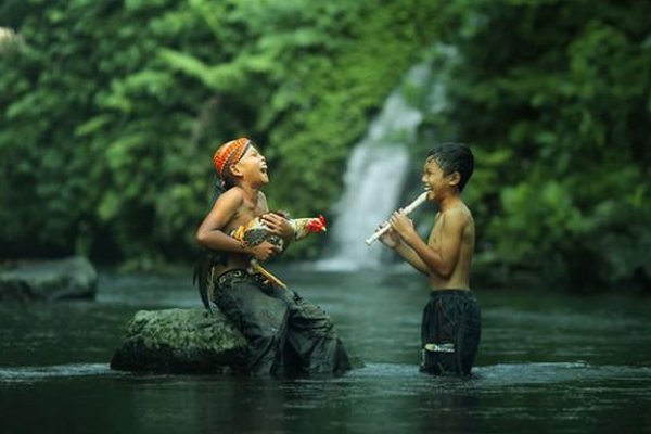 反哺之私打一生肖