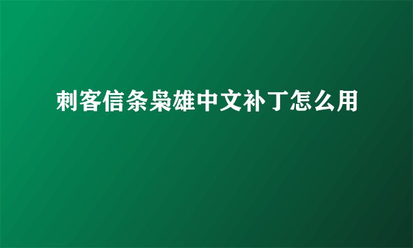 刺客信条枭雄中文补丁怎么用
