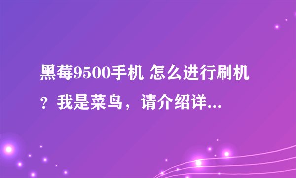 黑莓9500手机 怎么进行刷机？我是菜鸟，请介绍详细步骤 我想更新系统。